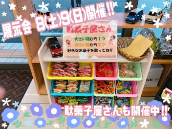 春の展示会開催!!