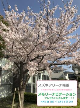 ☆中古車ご成約のお客様限定キャンペーン☆