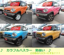 ☆カラフルハスラー　勢揃い☆