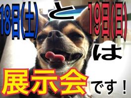 １８日（土）と１９日（日）は展示会イベントを開催します
