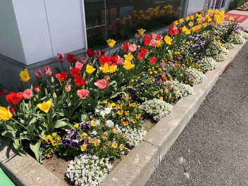 新工場着々進んでいます⑩