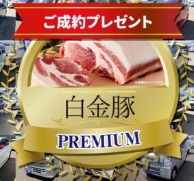 日新スズキ★プレミアムフェア★開催しま～す(^O^)