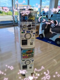 カプセルトイが登場しました✨