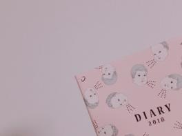 DIARY