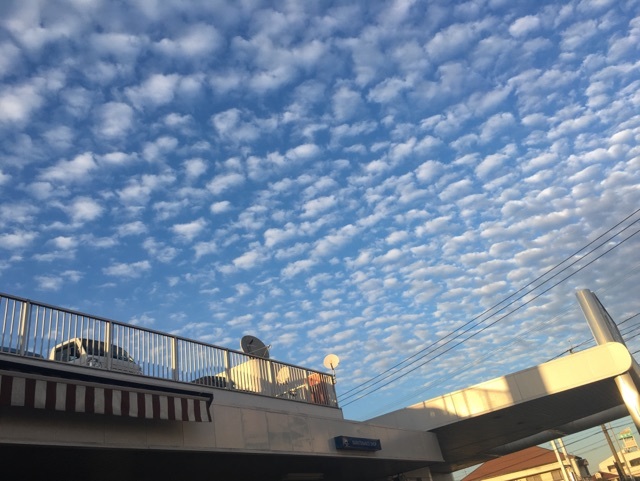 kumo
