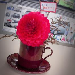 お花