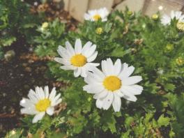 3月1日