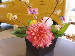 ミツマタ