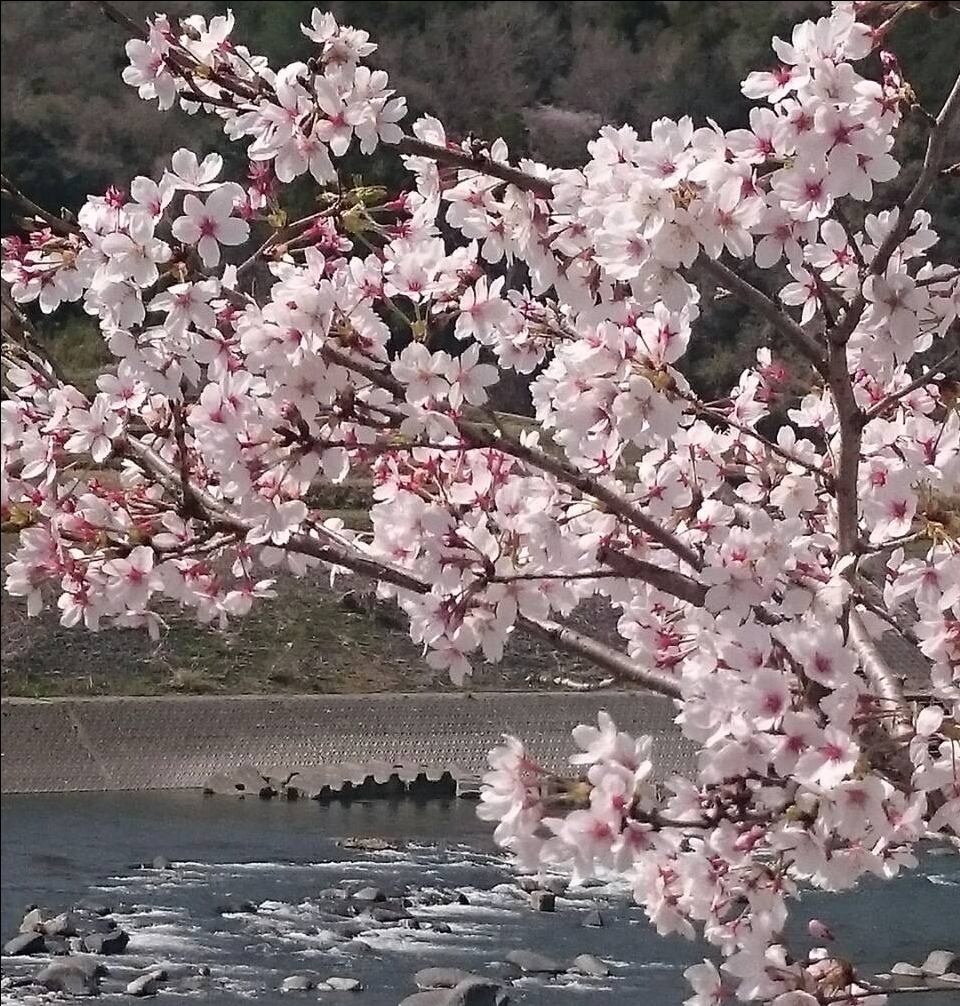 20180330_162149