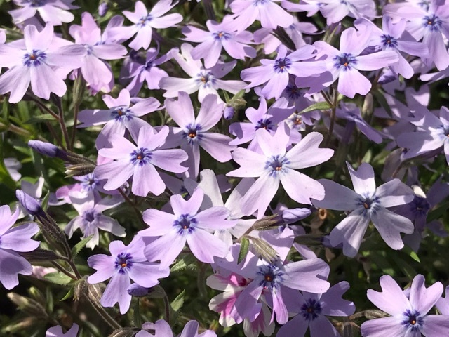 3月30日1