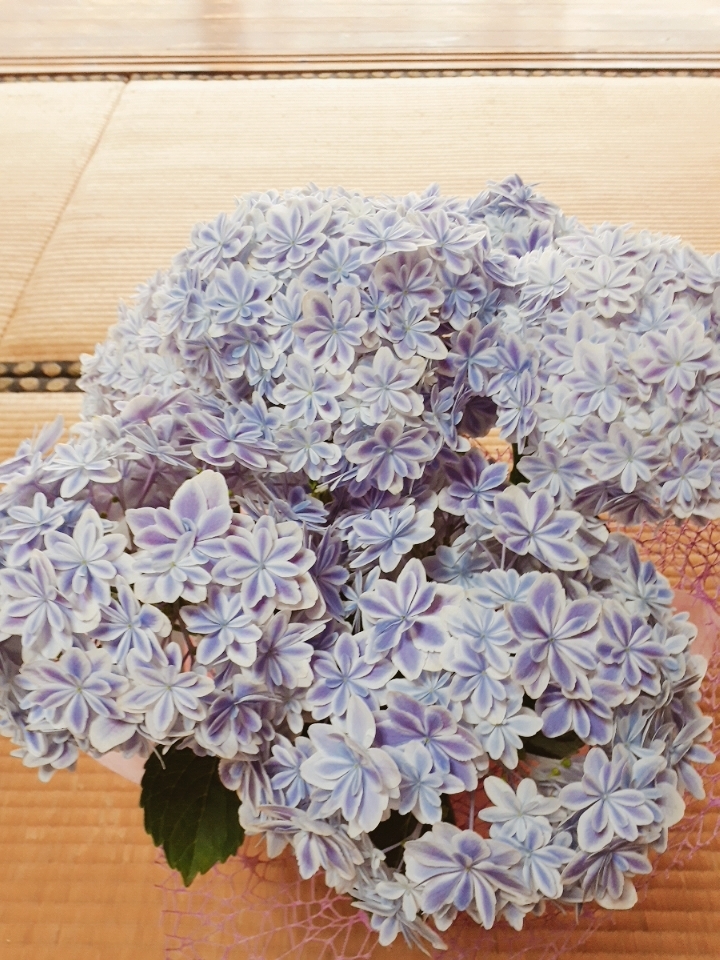 20180505_142345_564