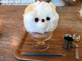 5月15日（火）