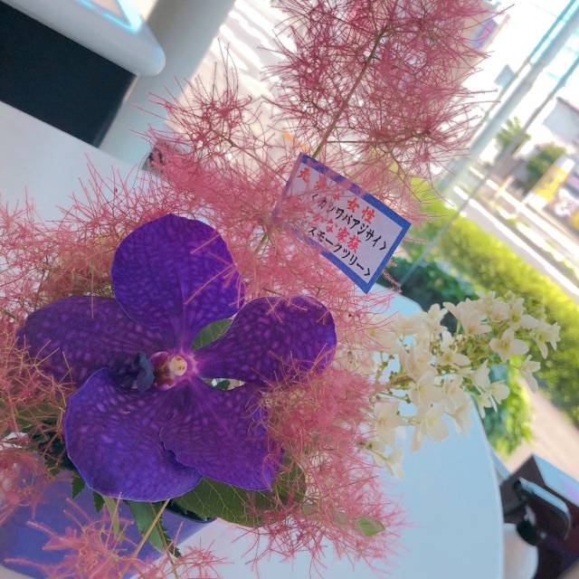 6月1日