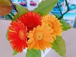 今週のお花