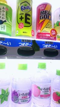 うるおいを求めて