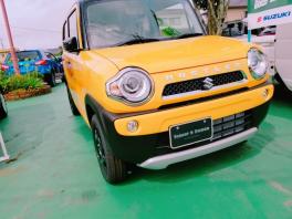 ハスラー　タフワイルド新登場！！