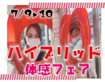 マルトクでっせー‼‼‼‼