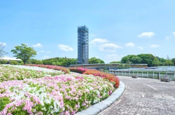 ★いよいよ開幕★　浜名湖花博2024で花も食も楽しもう！