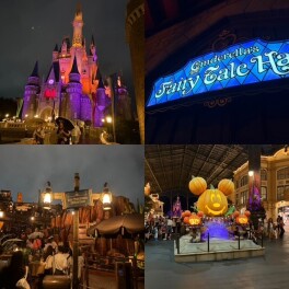 雨のディズニーランド