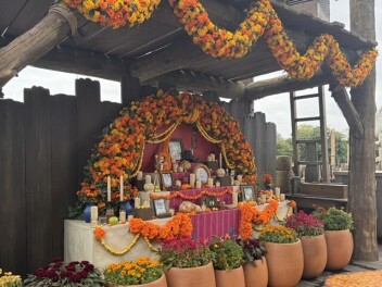 ♡2026ディズニーハロウィン♡