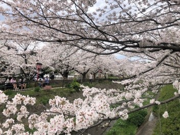 ９日（火）１０日（水）定休日です