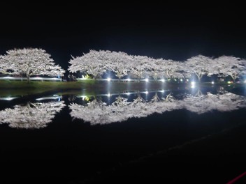 春の大商談会開催！