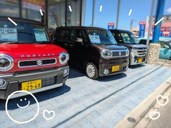 週末はぜひスズキのお店へ！