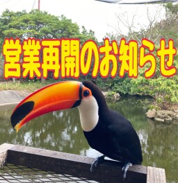 明日より営業再開いたします！