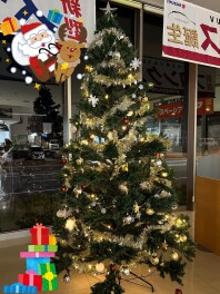 今年もあの季節が…☆