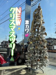 ☆★☆スズキ大試乗キャンペーン中！お車揃えてお待ちしてます！！☆★☆