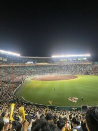 阪神甲子園球場に行ってきました!!