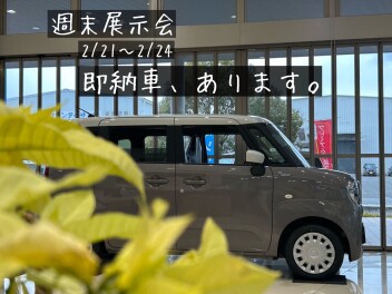 2月最後の週末展示会☆
