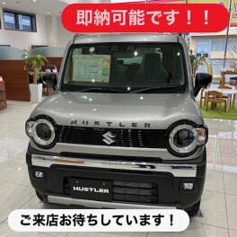 ハスラータフワイルドご納車できます！