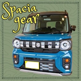 ★☆★　　人気カラーのギア♪　　★☆★