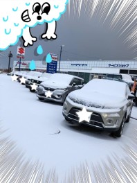 スズキアリーナ小樽★大決算祭♪♪開催中