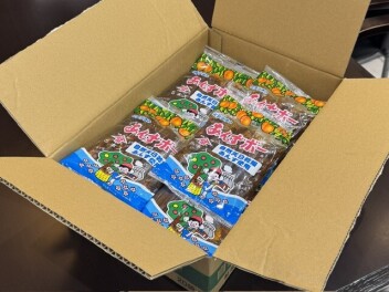あんずボーたくさん！！！