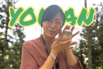 エアフレッシュナーＹＯＷＡＮで酔わん