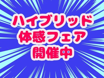 ６月ラストもアリーナ藤見へ！