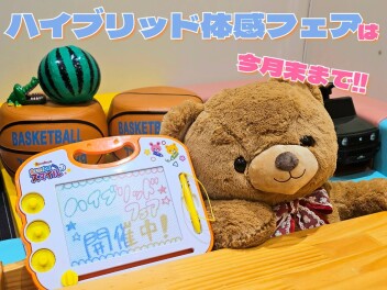 【もう終わっちゃう！】ハイブリッド体感フェア☆