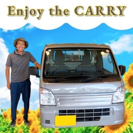いちご農園を始める為のグレーのキャリィ！！