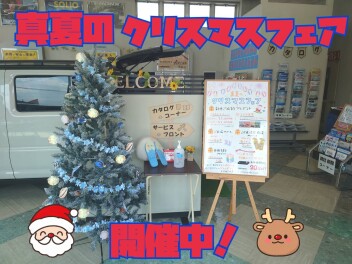 Merry Summer Xmas!!　真夏のクリスマスフェア開催中！