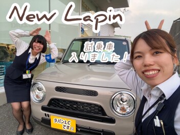 NEW Lapin 試乗できます！うさぎ！！！