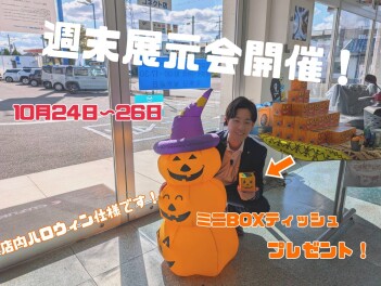 今週末はスズキのお店へ！【週末展示会】