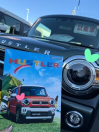 【11月22日～24日展示会開催】魅力がたくさん軽自動車　ハスラーの魅力！