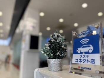 外は寒い//スズキは暖かい