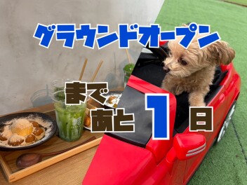 グラウンドオープンまであと１日