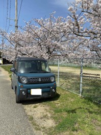 今週末は展示会！スペーシアギアと桜（＾＾）