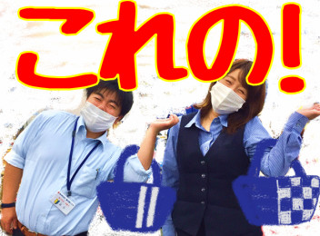 実物！