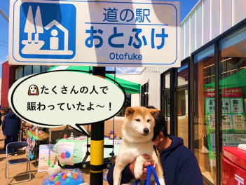 せっかく帯広　(音更)　来たならば！！