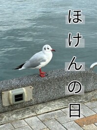 この機会にチェック！